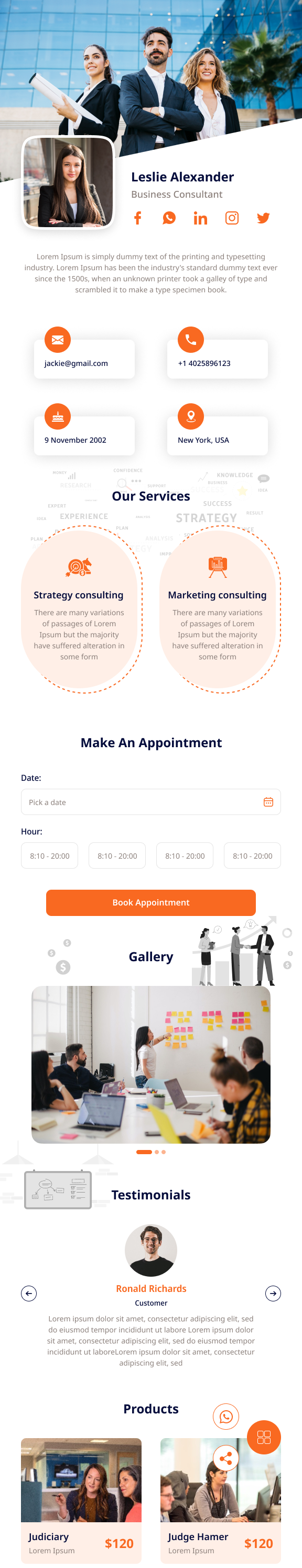 business consultant template